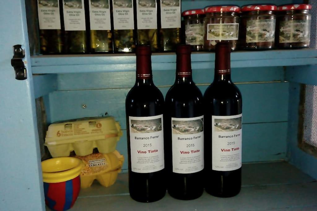 The Vine Studio Rubite  Luaran gambar